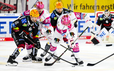 Pinguins unterliegen den Eisbären Berlin